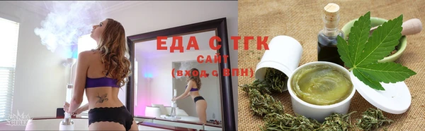 амф Тайга