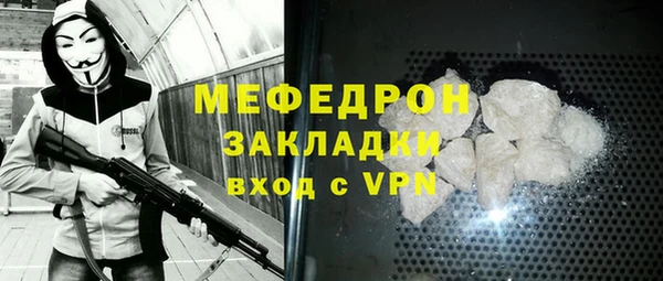 амф Тайга