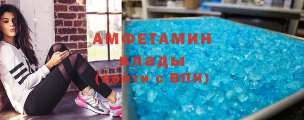 амф Тайга