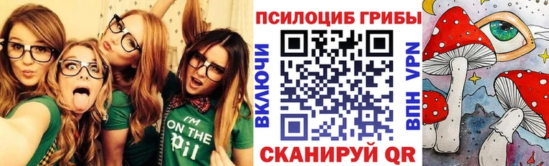 Псилоцибиновые грибы Magic Shrooms  это Telegram  Духовщина 